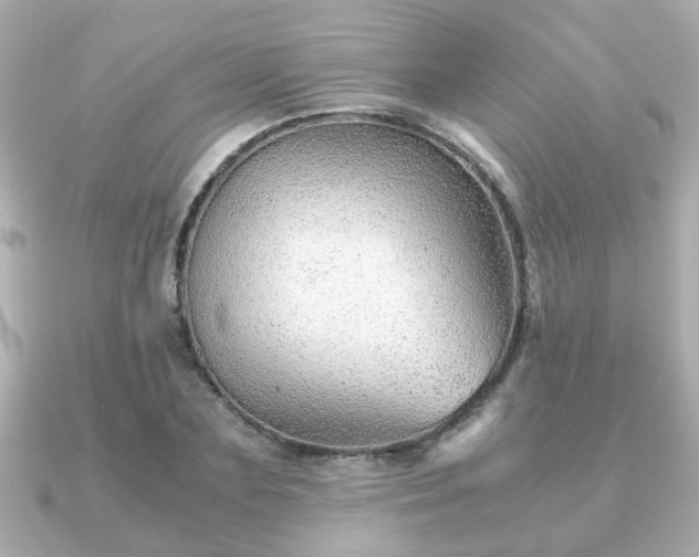 X0000090960883200708091352