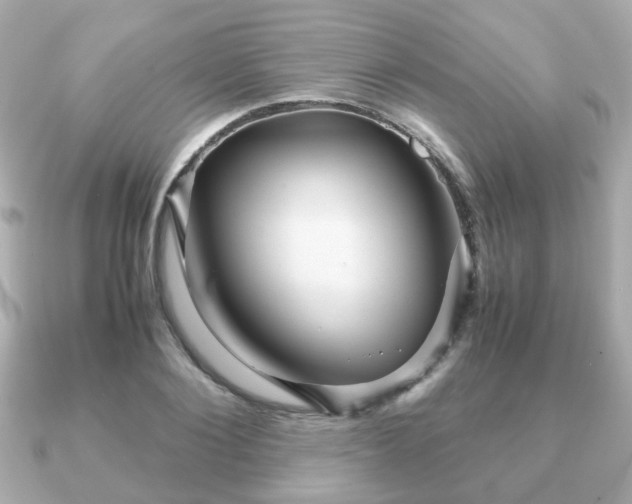 X0000090960884200708091352