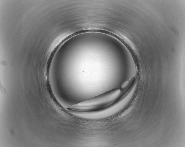 X0000090960885200708091352
