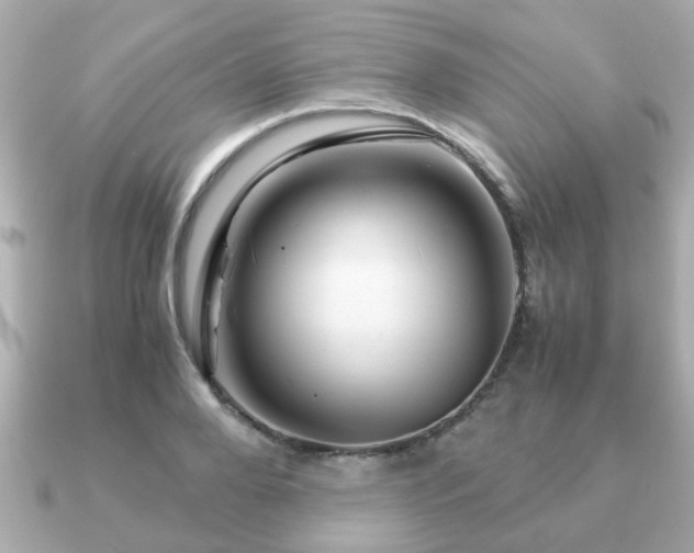 X0000090960888200708091352