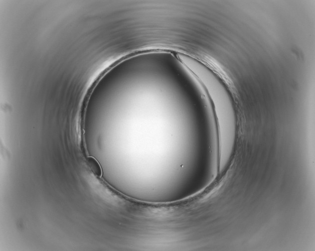 X0000090960892200708091352
