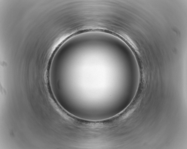 X0000090960893200708091352