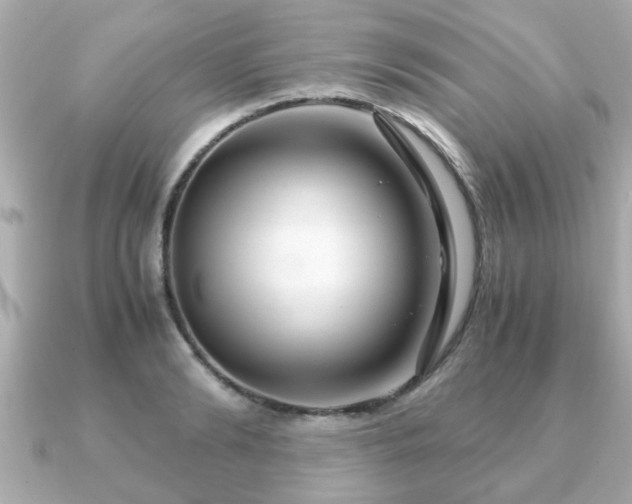 X0000090960894200708091352