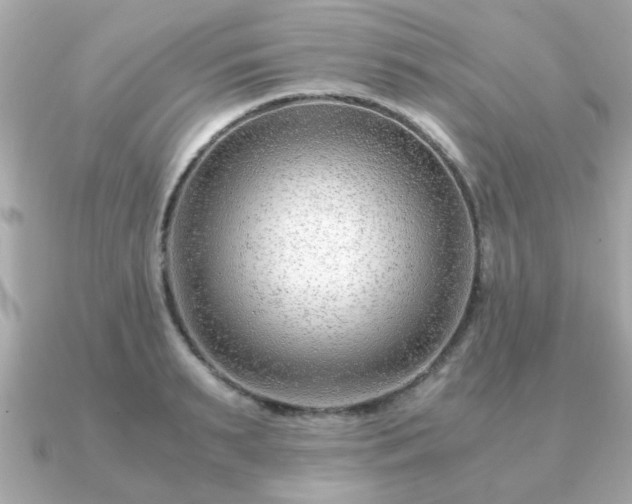 X0000090960895200708091352