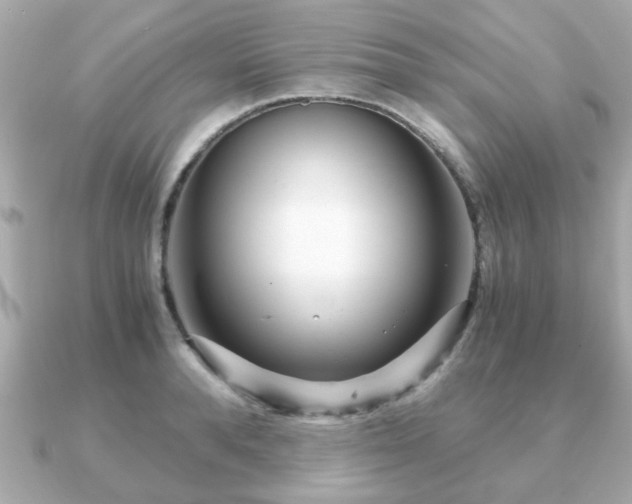 X0000090960896200708091352