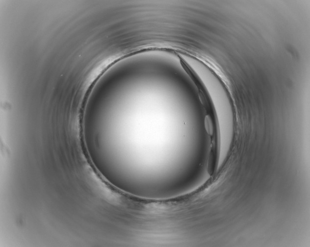 X0000090960898200708091352
