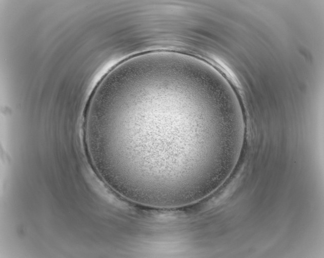 X0000090960899200708091352