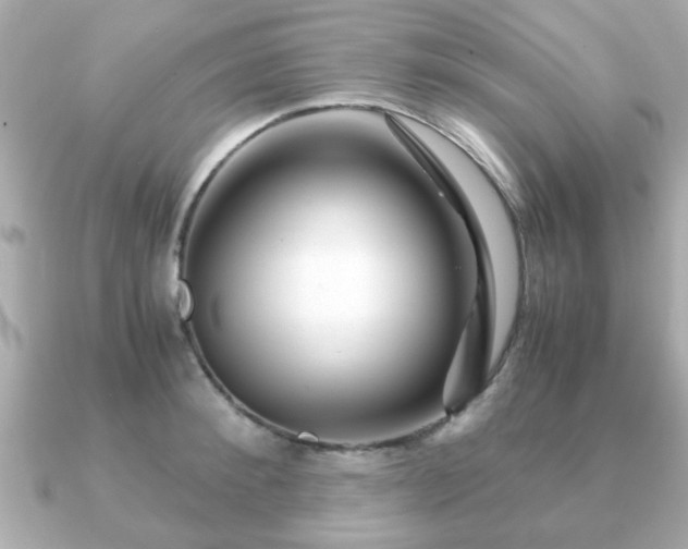 X0000090960900200708091352
