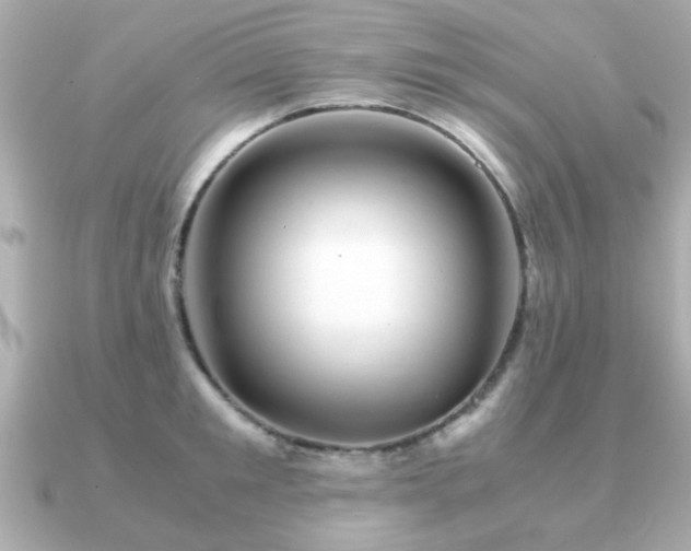 X0000090960901200708091352