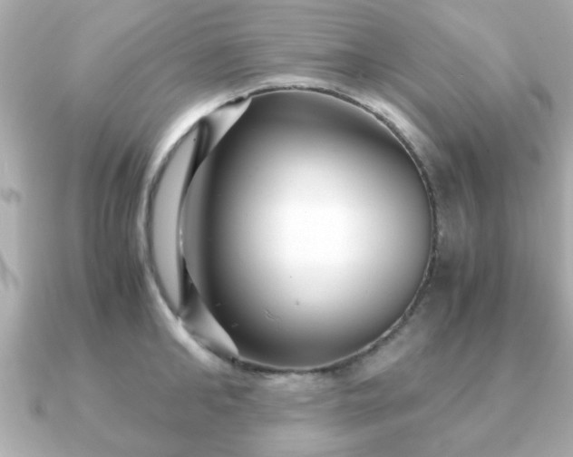 X0000090960902200708091352