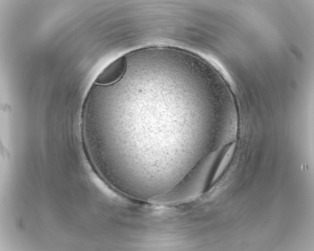 X0000090960903200708091352