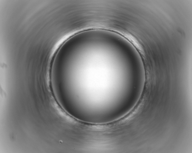 X0000090960904200708091352