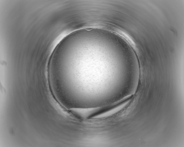 X0000090960907200708091352