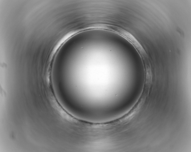 X0000090960908200708091352
