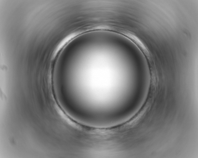 X0000090960910200708091352