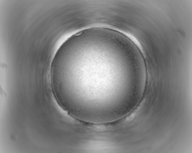 X0000090960911200708091352
