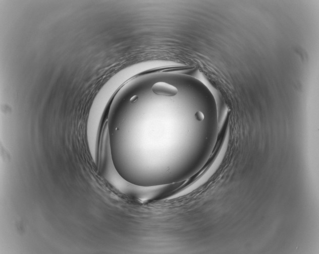 X0000090960914200708091352