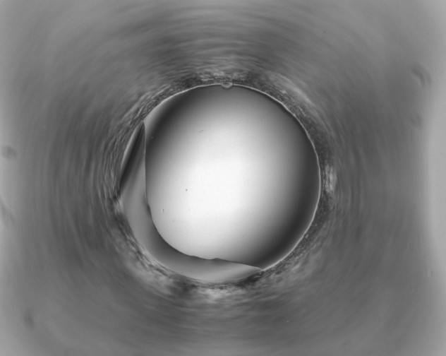X0000090960915200708091352