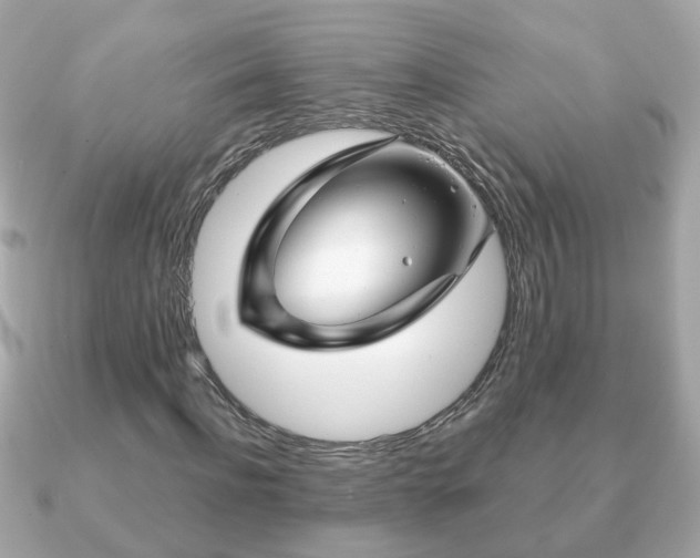 X0000090960916200708091352