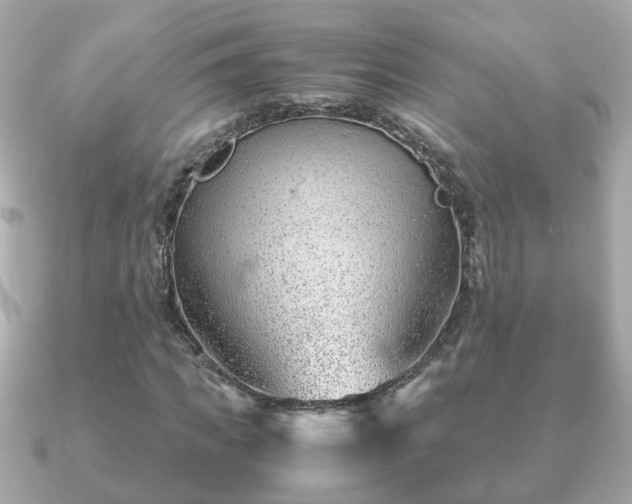 X0000090960917200708091352