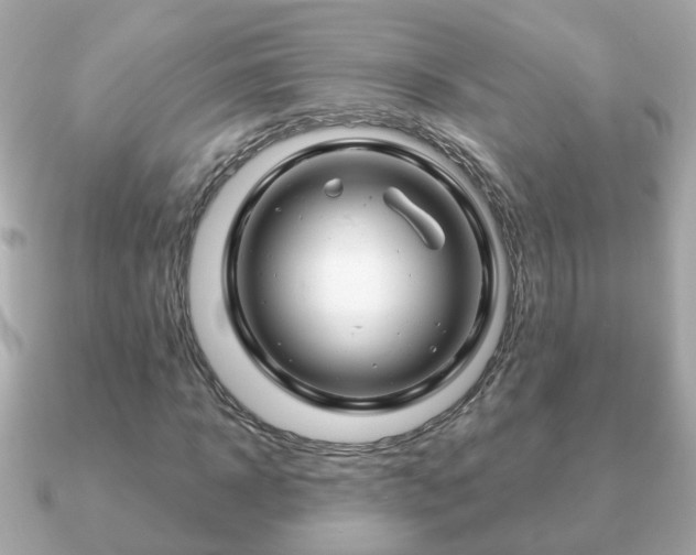 X0000090960918200708091352