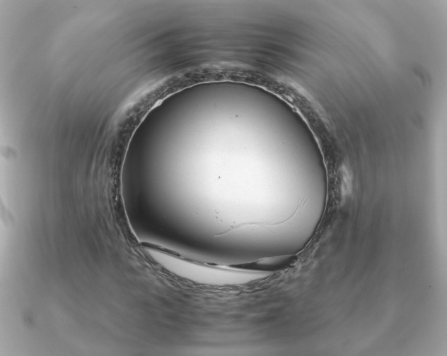 X0000090960919200708091352