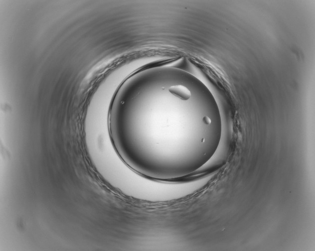 X0000090960920200708091352