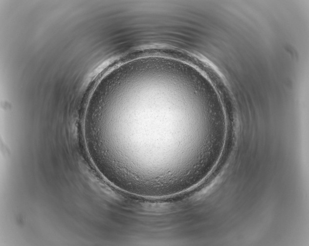 X0000090960921200708091352