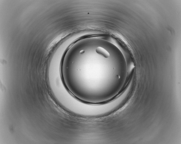 X0000090960922200708091352