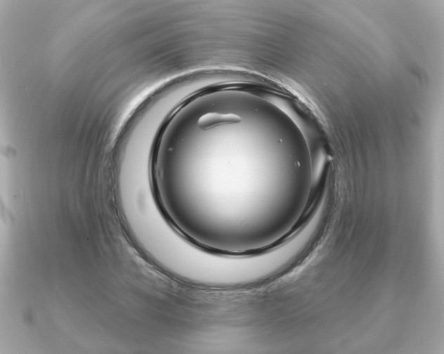 X0000090960926200708091352
