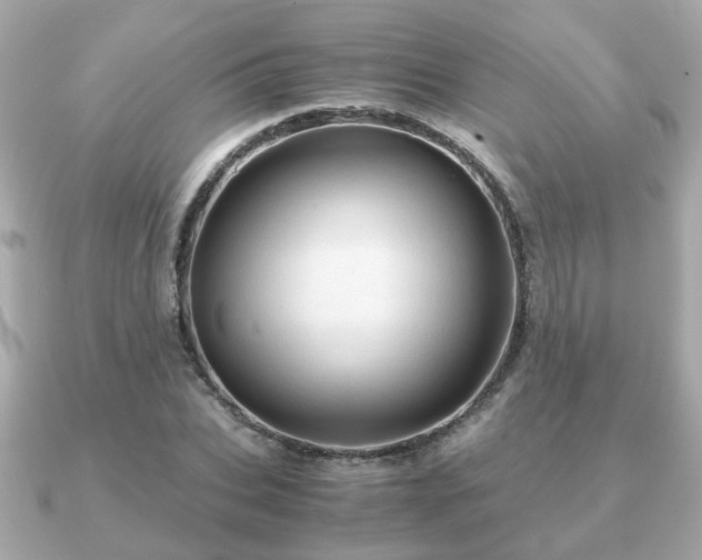 X0000090960927200708091352