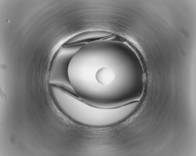 X0000090960928200708091352