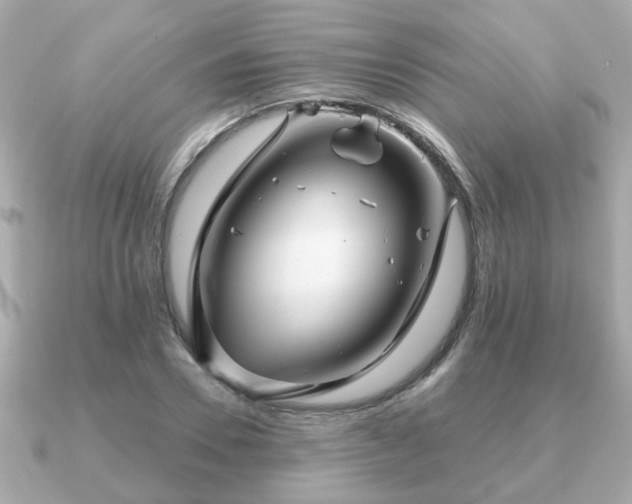 X0000090960930200708091352
