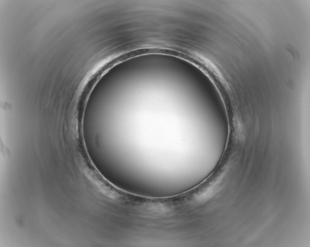 X0000090960931200708091352