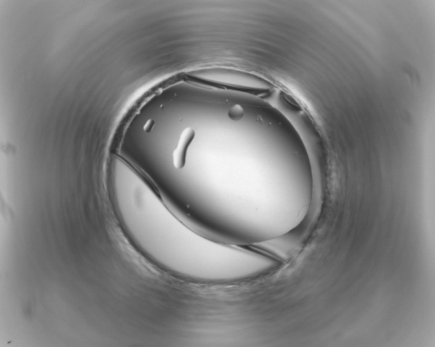 X0000090960932200708091352