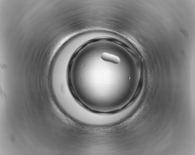 X0000090960934200708091352
