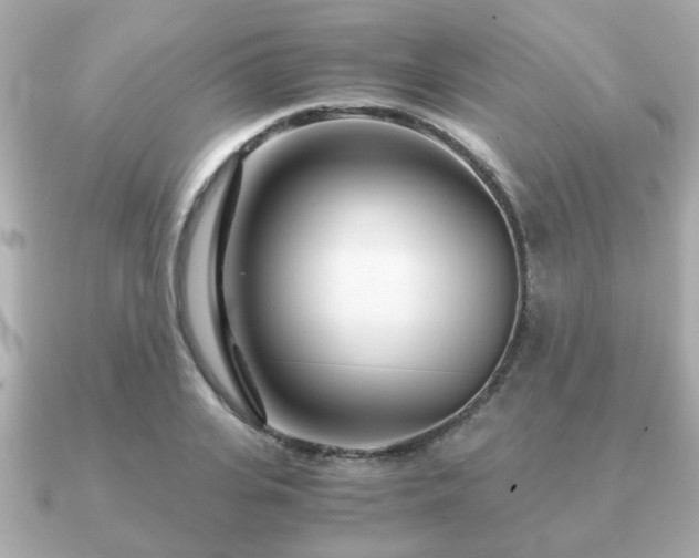 X0000090960935200708091352