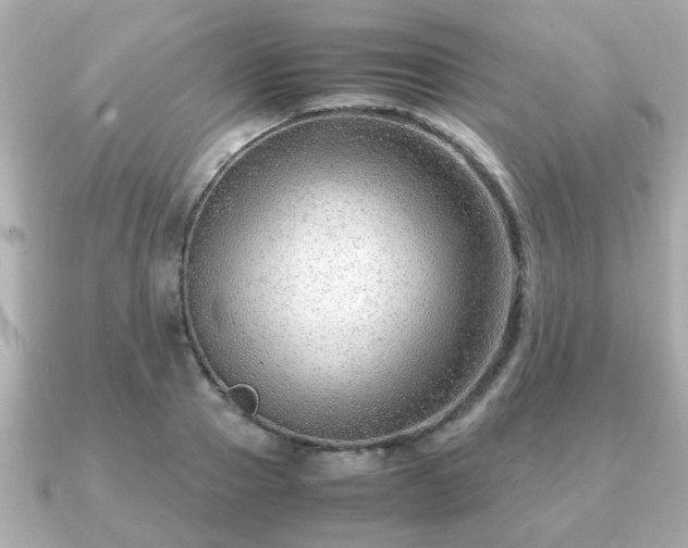 X0000090960937200708091352