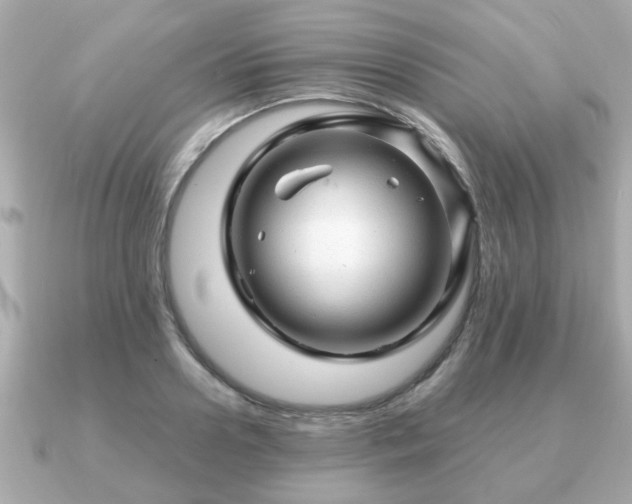 X0000090960938200708091352