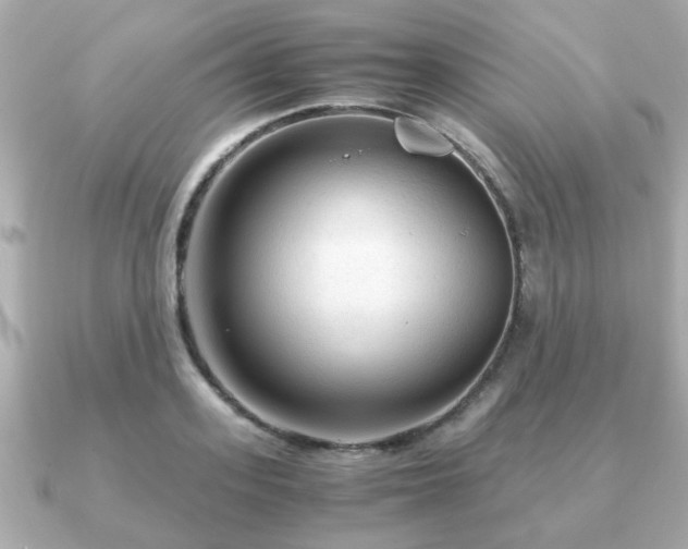 X0000090960939200708091352