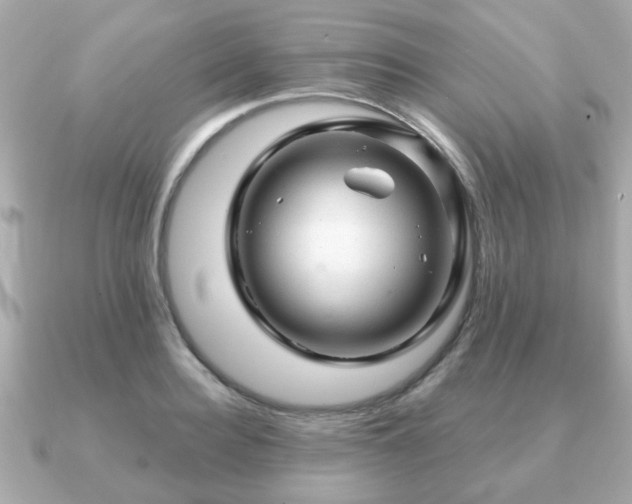 X0000090960940200708091352