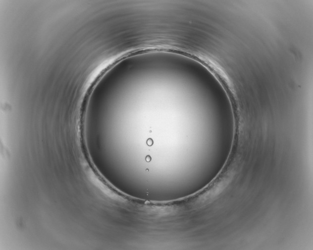 X0000090960941200708091352