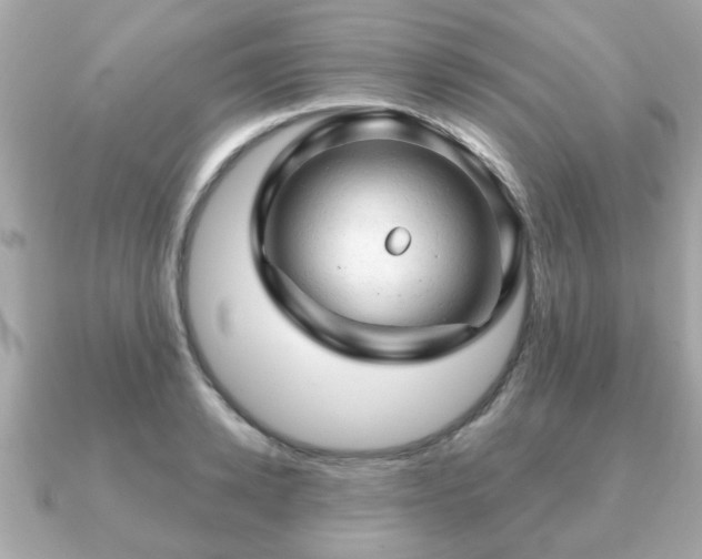X0000090960942200708091352