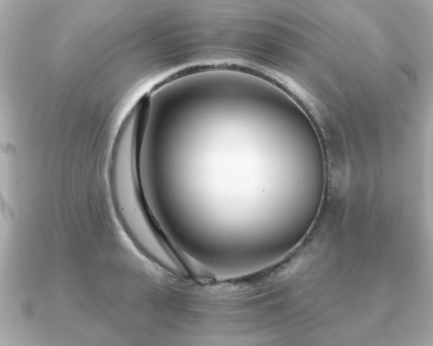 X0000090960943200708091352