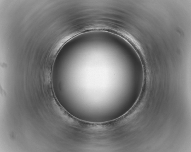 X0000090960945200708091352