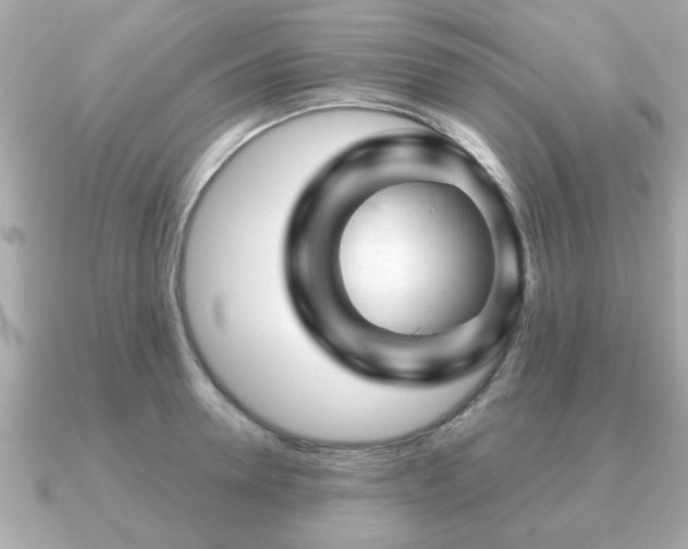 X0000090960946200708091352