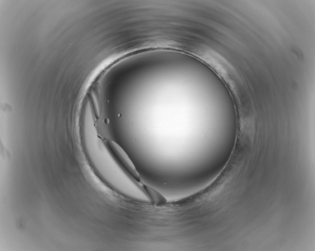 X0000090960947200708091352