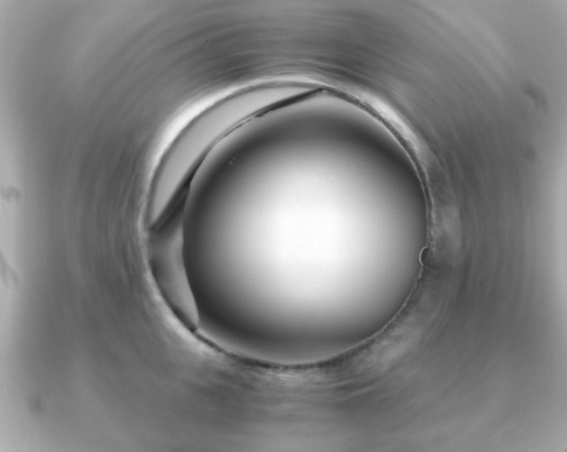 X0000090960951200708091352