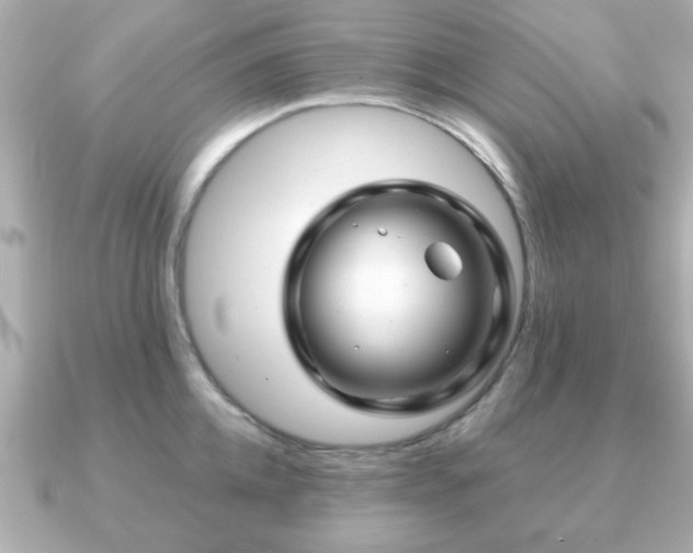X0000090960952200708091352