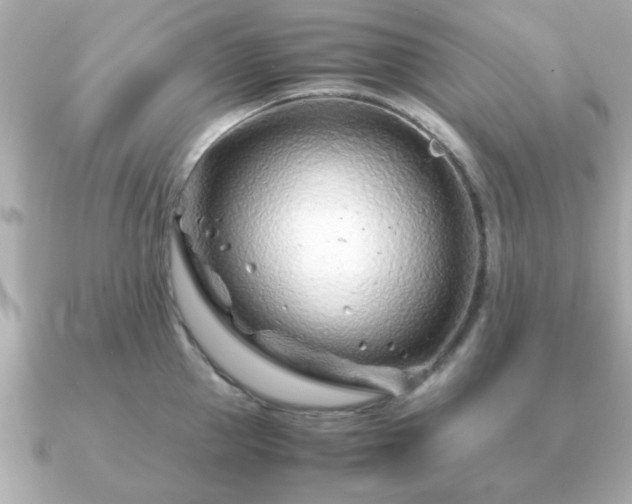 X0000090960953200708091352